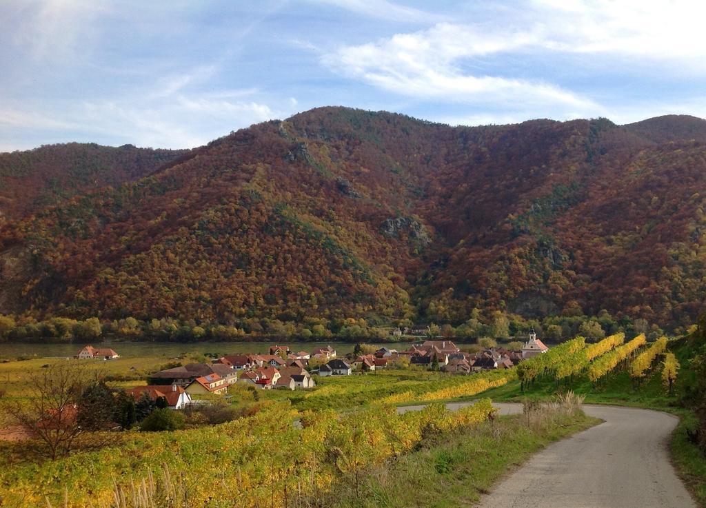 Weingut Langmayer Wösendorf المظهر الخارجي الصورة