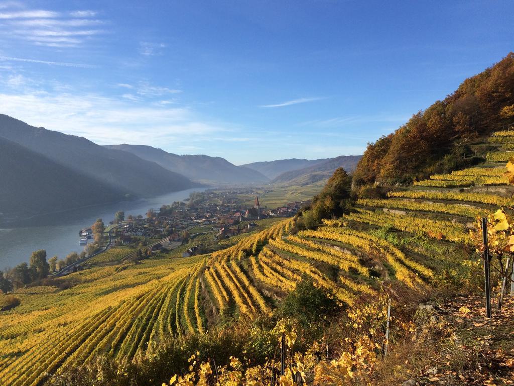 Weingut Langmayer Wösendorf المظهر الخارجي الصورة