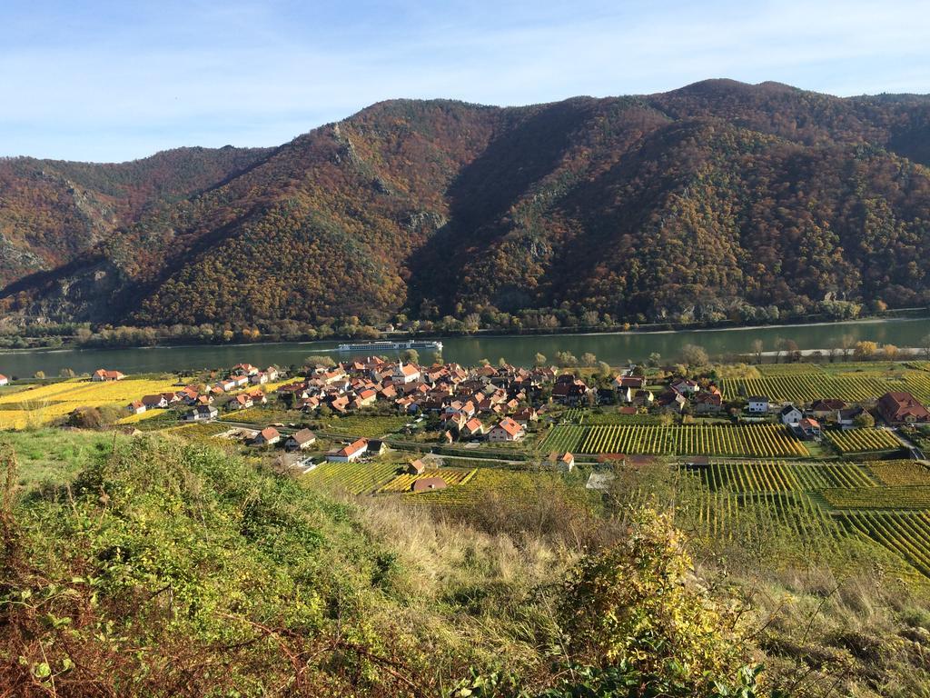Weingut Langmayer Wösendorf المظهر الخارجي الصورة